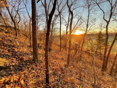 188 +/- Acre Farm & Hunting Property For Sale in SW Missouri - image 5