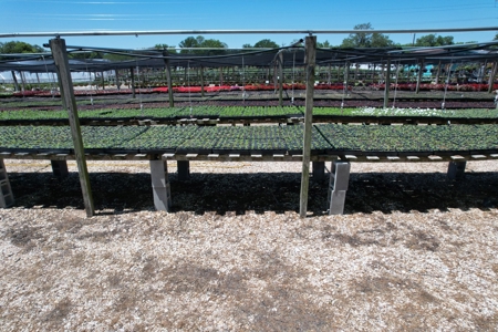 Plant Nursery For Sale in Waco TX - 11 Acre Garden Center - image 13