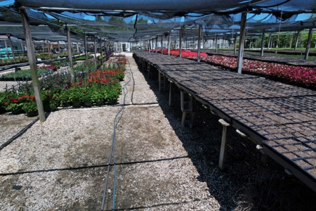 Plant Nursery For Sale in Waco TX - 11 Acre Garden Center - image 17