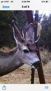 West Central Texas Hunting Ranch with Home near San Angelo - image 37