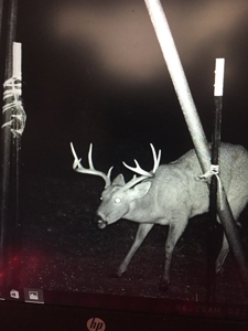 West Central Texas Hunting Ranch with Home near San Angelo - image 32