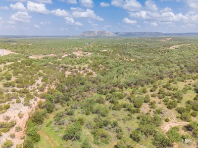 West Central Texas Hunting Ranch with Home near San Angelo - image 7