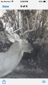 West Central Texas Hunting Ranch with Home near San Angelo - image 31