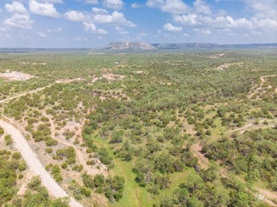West Central Texas Hunting Ranch with Home near San Angelo - image 5