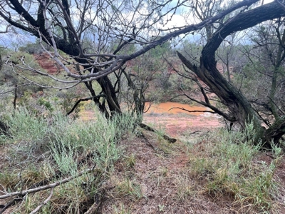West Central Texas Hunting Ranch with Home near San Angelo - image 39