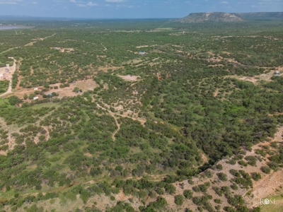 West Central Texas Hunting Ranch with Home near San Angelo - image 10