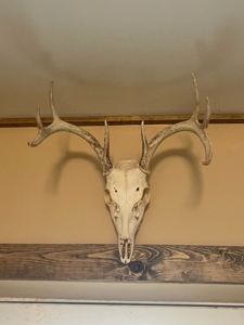 West Central Texas Hunting Ranch with Home near San Angelo - image 38