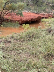 West Central Texas Hunting Ranch with Home near San Angelo - image 40