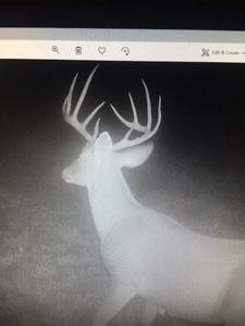 West Central Texas Hunting Ranch with Home near San Angelo - image 34