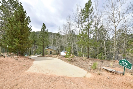 Private Cabin in the Central Colorado Mountains - image 3