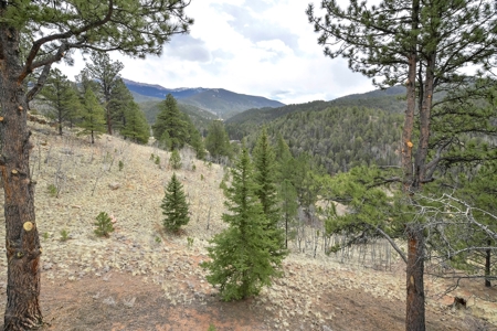 Private Cabin in the Central Colorado Mountains - image 16