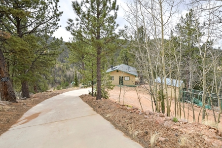 Private Cabin in the Central Colorado Mountains - image 4