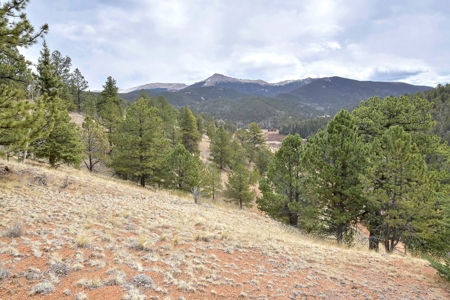 Private Cabin in the Central Colorado Mountains - image 13