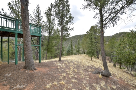 Private Cabin in the Central Colorado Mountains - image 10