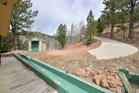 Private Cabin in the Central Colorado Mountains - image 18
