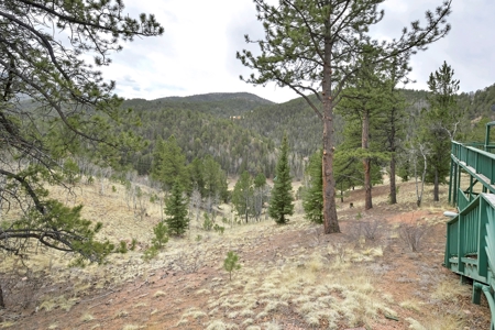 Private Cabin in the Central Colorado Mountains - image 7
