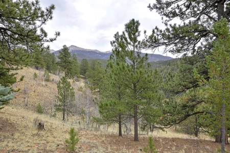 Private Cabin in the Central Colorado Mountains - image 12