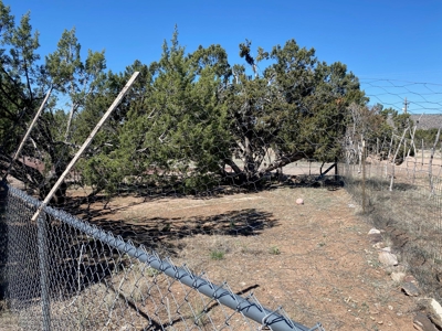 Small Home and Land for Sale Near Seligman AZ - image 8