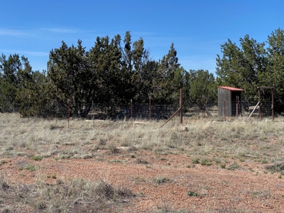 Small Home and Land for Sale Near Seligman AZ - image 9