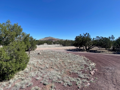 Small Home and Land for Sale Near Seligman AZ - image 7