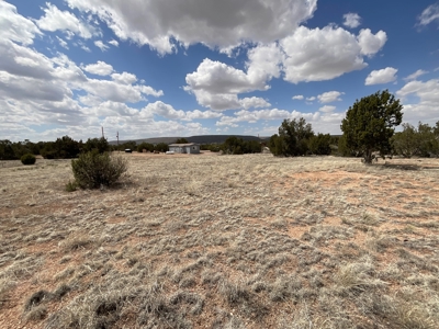 Small Home and Land for Sale Near Seligman AZ - image 22