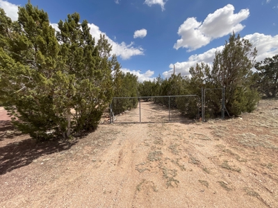 Small Home and Land for Sale Near Seligman AZ - image 20