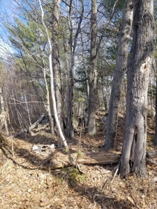 Recreational property for sale - image 8