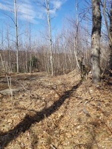 Recreational property for sale - image 7