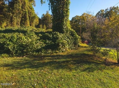 Online Auction Hawkins County TN Home & Acreage -Rogersville - image 41