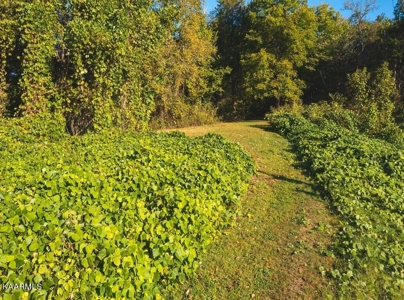 Online Auction Hawkins County TN Home & Acreage -Rogersville - image 42