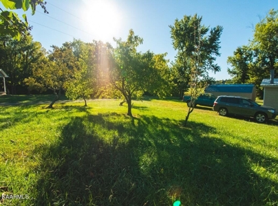Online Auction Hawkins County TN Home & Acreage -Rogersville - image 46
