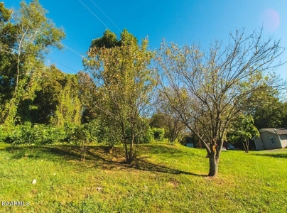Online Auction Hawkins County TN Home & Acreage -Rogersville - image 44