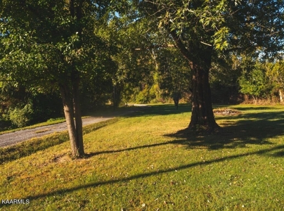 Online Auction Hawkins County TN Home & Acreage -Rogersville - image 37