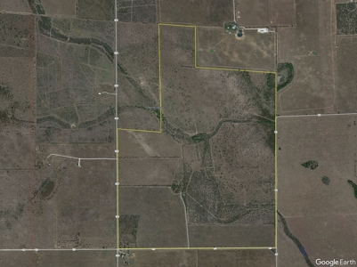 SOUTH TEXAS BRUSH COUNTRY - 690 Acres in Falfurrias, Texas - image 13