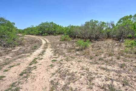 SOUTH TEXAS BRUSH COUNTRY - 690 Acres in Falfurrias, Texas - image 10