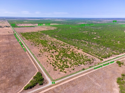 SOUTH TEXAS BRUSH COUNTRY - 690 Acres in Falfurrias, Texas - image 20
