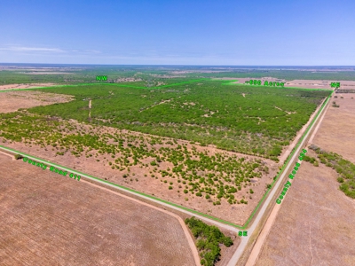 SOUTH TEXAS BRUSH COUNTRY - 690 Acres in Falfurrias, Texas - image 19
