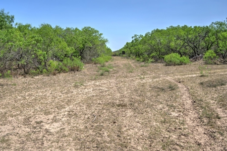SOUTH TEXAS BRUSH COUNTRY - 690 Acres in Falfurrias, Texas - image 9