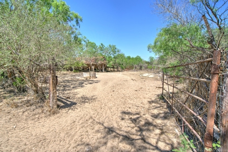 SOUTH TEXAS BRUSH COUNTRY - 690 Acres in Falfurrias, Texas - image 4