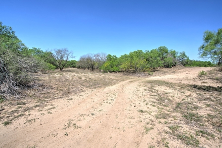 SOUTH TEXAS BRUSH COUNTRY - 690 Acres in Falfurrias, Texas - image 2