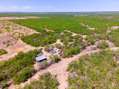 SOUTH TEXAS BRUSH COUNTRY - 690 Acres in Falfurrias, Texas - image 1