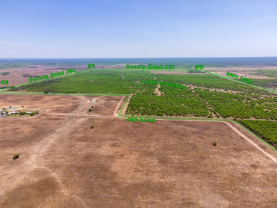 SOUTH TEXAS BRUSH COUNTRY - 690 Acres in Falfurrias, Texas - image 23