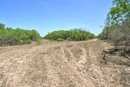 SOUTH TEXAS BRUSH COUNTRY - 690 Acres in Falfurrias, Texas - image 8