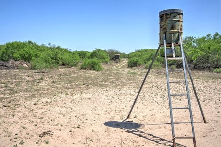 SOUTH TEXAS BRUSH COUNTRY - 690 Acres in Falfurrias, Texas - image 11