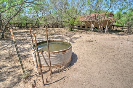 SOUTH TEXAS BRUSH COUNTRY - 690 Acres in Falfurrias, Texas - image 5