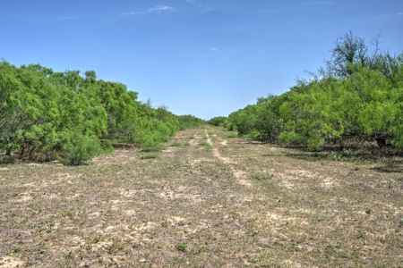 SOUTH TEXAS BRUSH COUNTRY - 690 Acres in Falfurrias, Texas - image 3