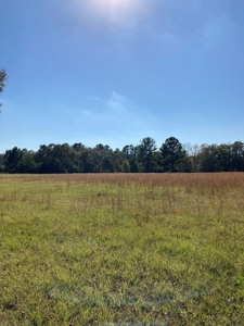Desirable acreage in Montgomery County! - image 1
