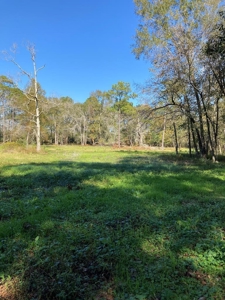 Desirable acreage in Montgomery County! - image 2