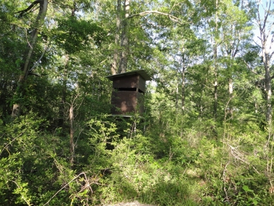 Land For Sale Hunting Land Amite County Magnolia Mississippi - image 21