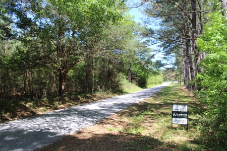 Land For Sale Hunting Land Amite County Magnolia Mississippi - image 1